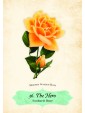 Oracle of The Roses : Blessings to support your heart and soul by Cheralyn Darcey
